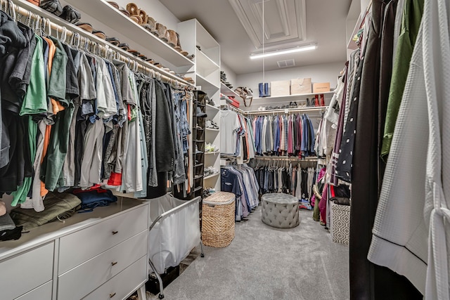 walk in closet with carpet floors