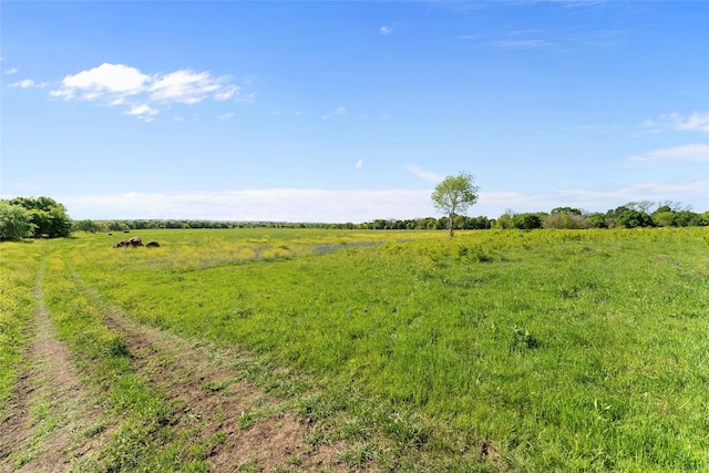 view of nature with a rural view