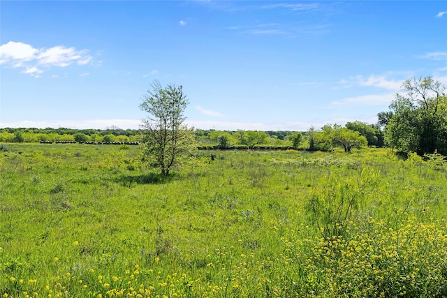 view of local wilderness featuring a rural view