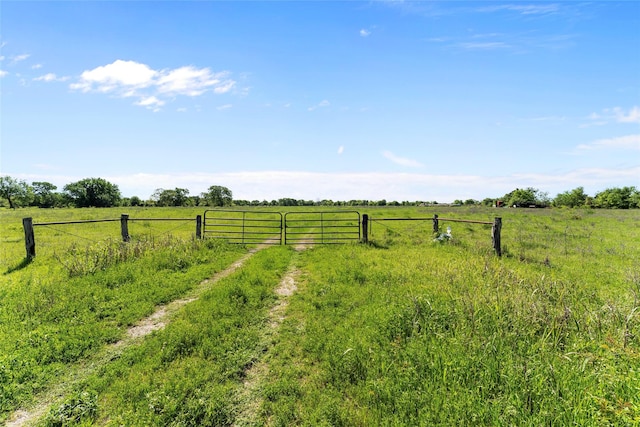 view of yard featuring a rural view