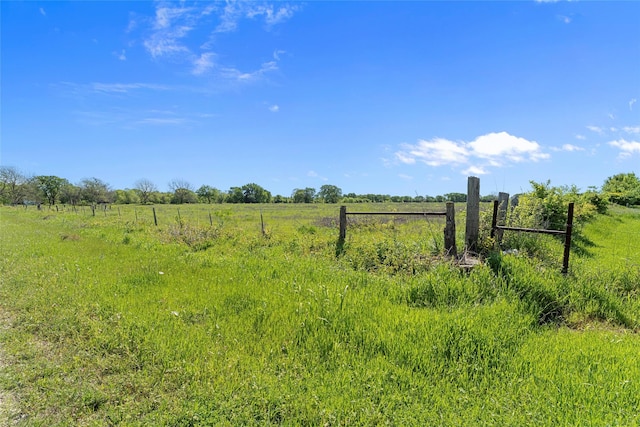 view of yard with a rural view