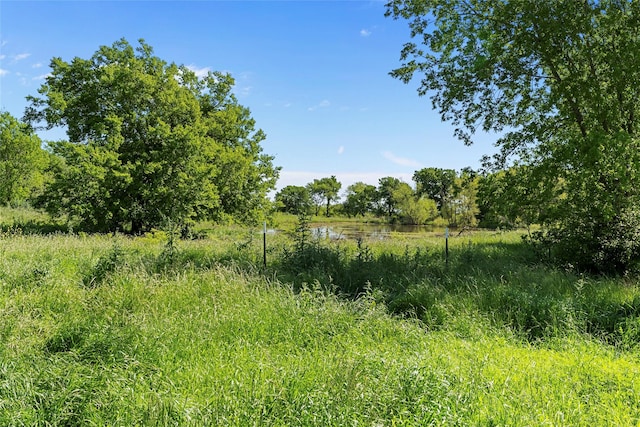 view of nature featuring a water view