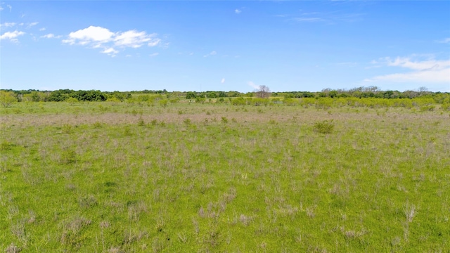 view of landscape featuring a rural view