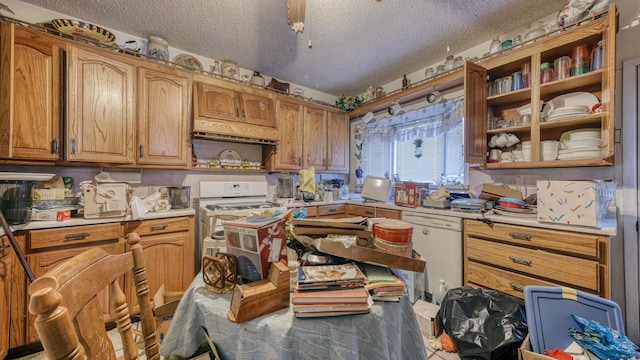 kitchen featuring dishwasher and a textured ceiling