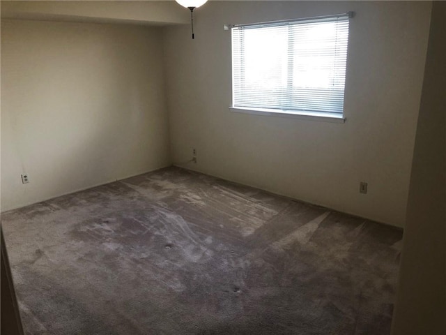 empty room featuring carpet floors