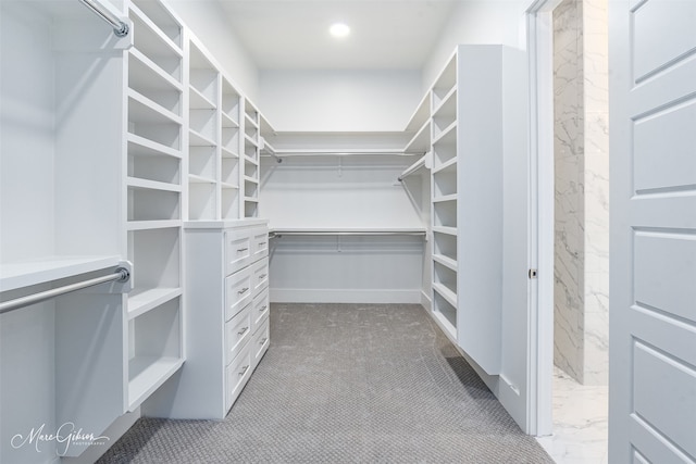 spacious closet featuring light carpet