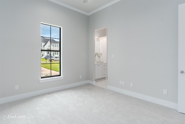 carpeted spare room featuring ornamental molding