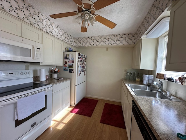 kitchen featuring white appliances, sink, ceiling fan, a textured ceiling, and light hardwood / wood-style floors