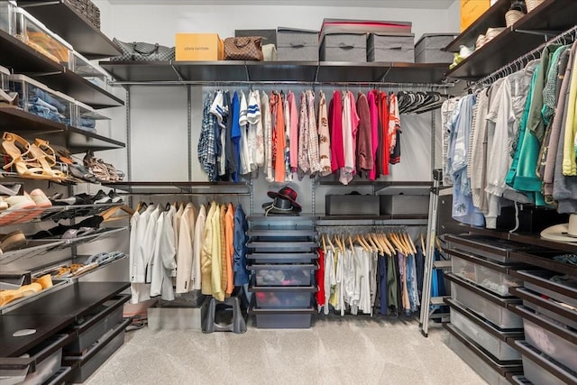 walk in closet featuring carpet flooring