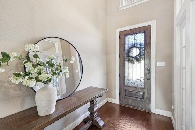 foyer entrance with dark hardwood / wood-style flooring