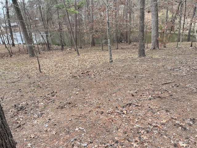 Listing photo 3 for TBD King Thomas Rd, Scroggins TX 75480