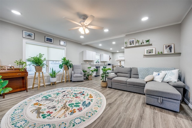 living room with crown molding, ceiling fan, and light hardwood / wood-style flooring