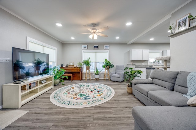 living room featuring ceiling fan, light wood-type flooring, crown molding, and plenty of natural light