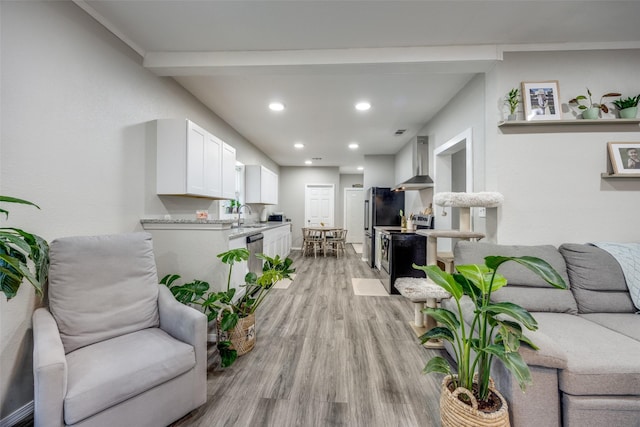 living room featuring sink and light wood-type flooring