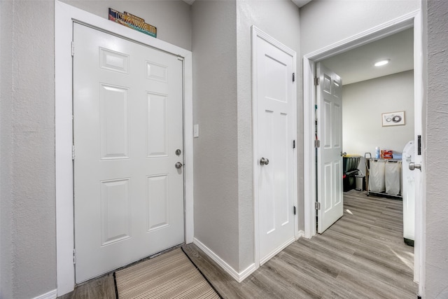 foyer entrance featuring light hardwood / wood-style flooring