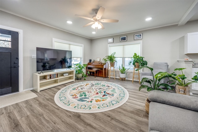 living room featuring ornamental molding, ceiling fan, and light hardwood / wood-style floors