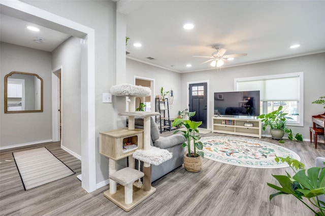 living room with ceiling fan and light hardwood / wood-style flooring