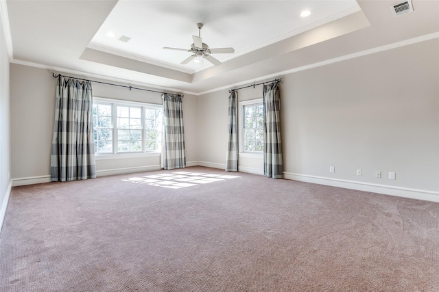 spare room with a raised ceiling, light carpet, and a wealth of natural light