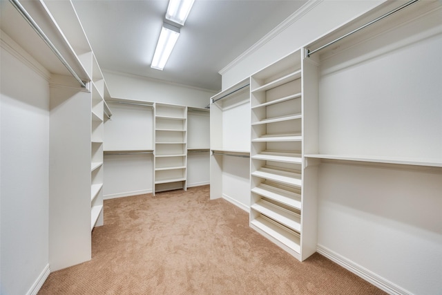 walk in closet featuring light colored carpet