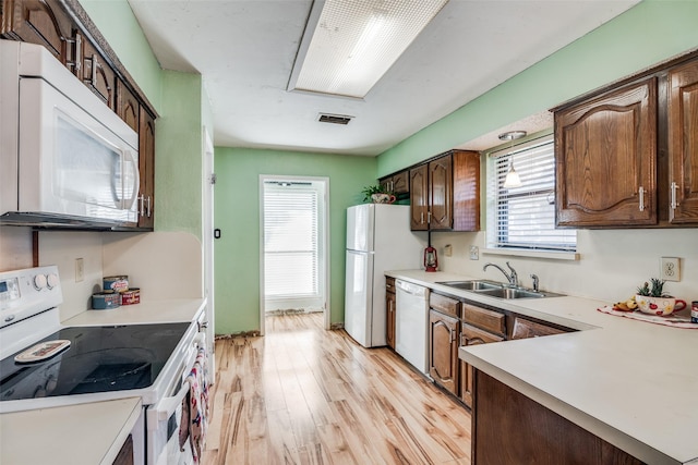 kitchen featuring dark brown cabinets, sink, a healthy amount of sunlight, and white appliances