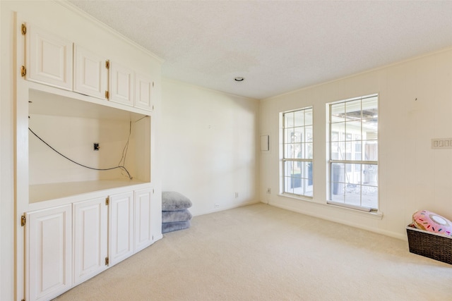 interior space with light carpet and crown molding