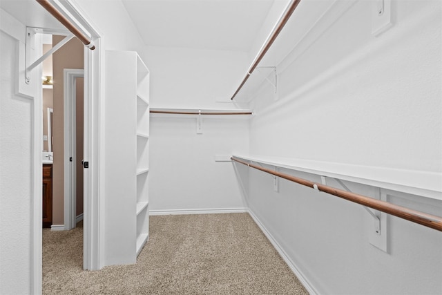 walk in closet featuring carpet