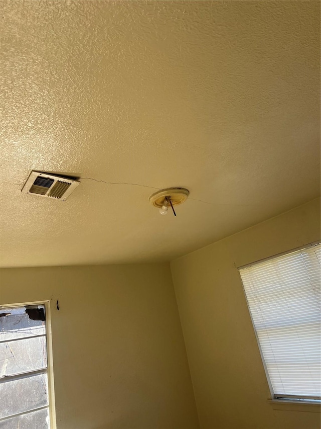 details with a textured ceiling