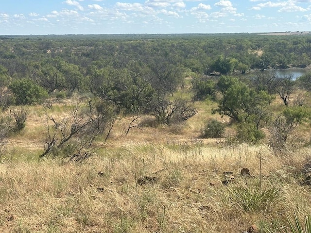 Listing photo 3 for tbd Tbd, Albany TX 76430