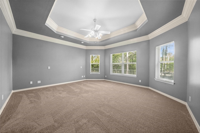 spare room featuring a tray ceiling, ceiling fan, carpet flooring, and crown molding