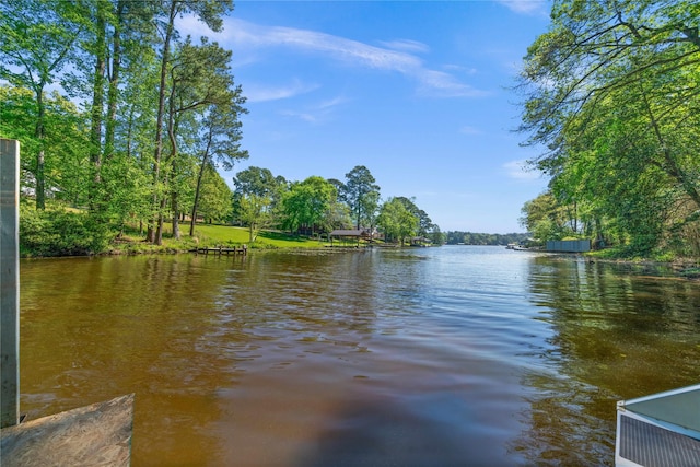 property view of water