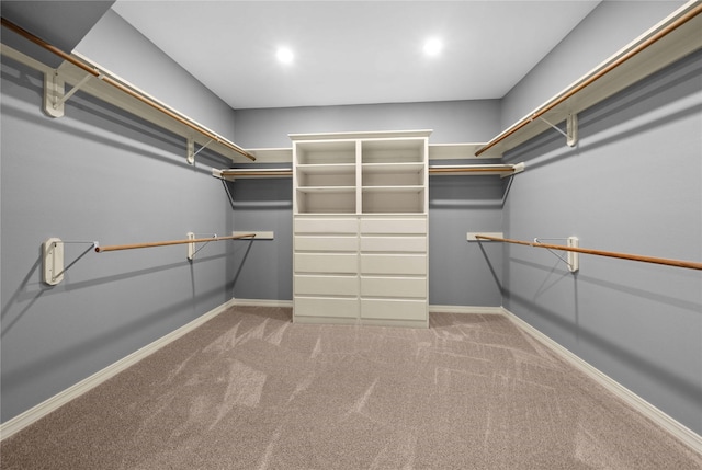 walk in closet featuring light colored carpet