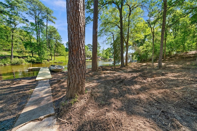 view of property's community with a dock and a water view