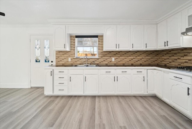 kitchen featuring decorative backsplash, white cabinetry, sink, and ornamental molding