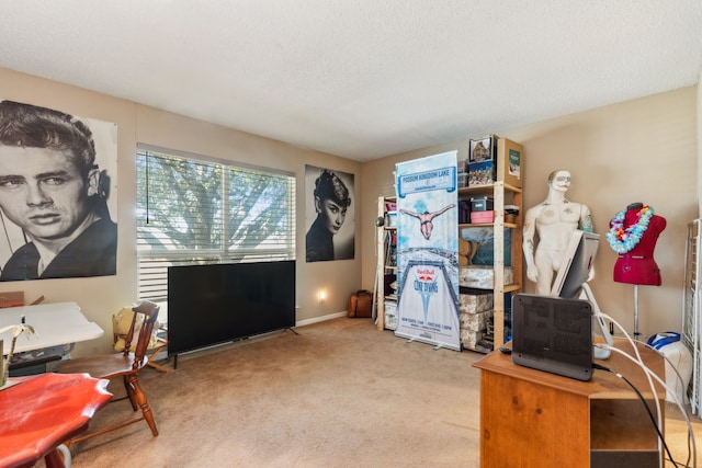 office featuring carpet and a textured ceiling