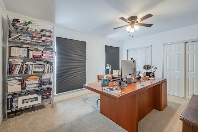 carpeted home office featuring ceiling fan and crown molding