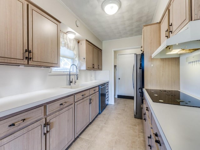 kitchen featuring light brown cabinets, sink, and stainless steel appliances