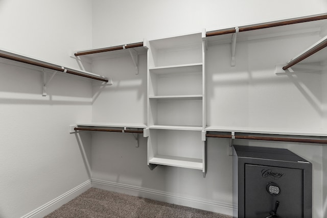 spacious closet with carpet