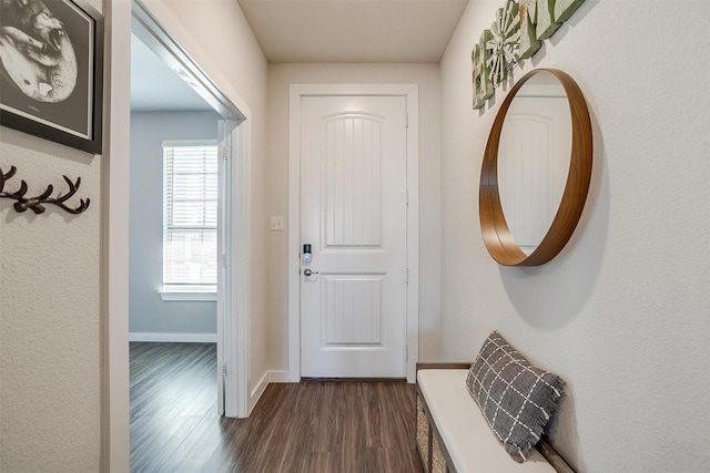 doorway to outside with dark hardwood / wood-style flooring