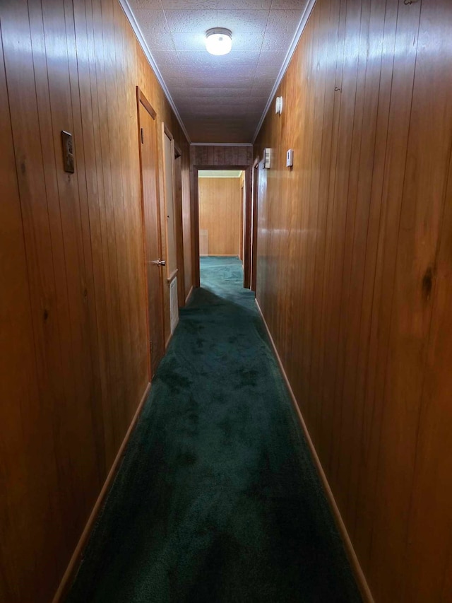 corridor with crown molding, carpet flooring, and wooden walls