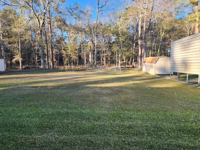 view of yard with a storage shed