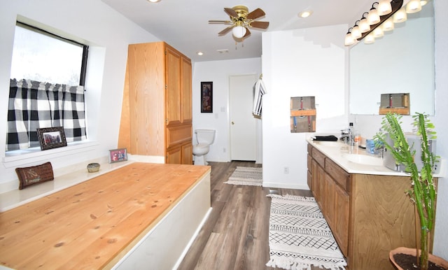 interior space featuring dark hardwood / wood-style flooring, ceiling fan, and sink