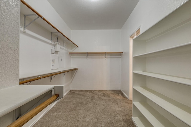 spacious closet with light carpet