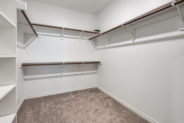 spacious closet with carpet flooring