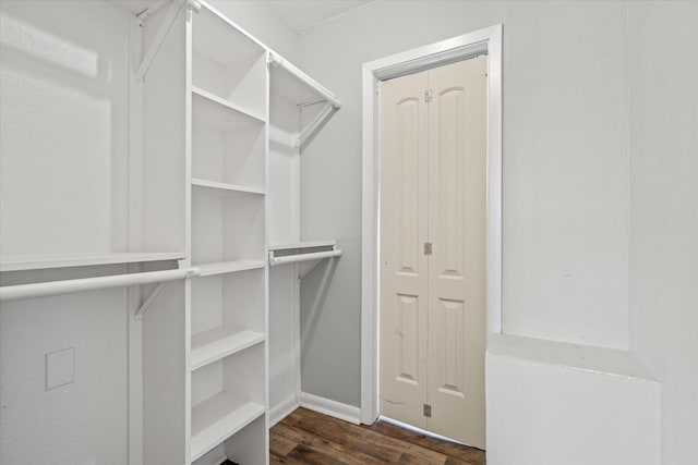 spacious closet with dark hardwood / wood-style floors