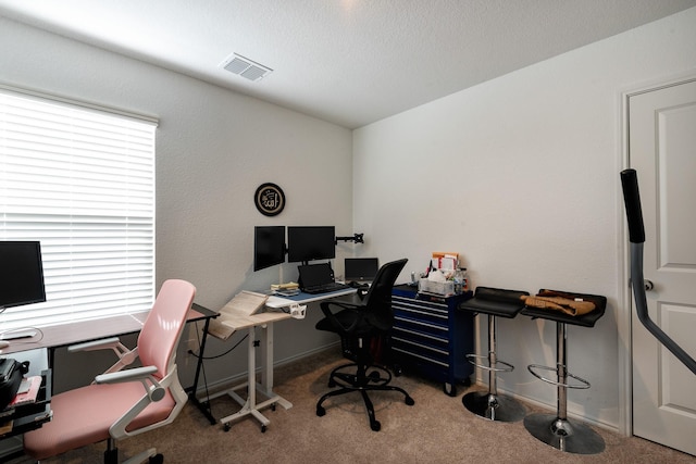 carpeted home office featuring plenty of natural light