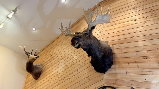 interior details featuring wood walls and rail lighting