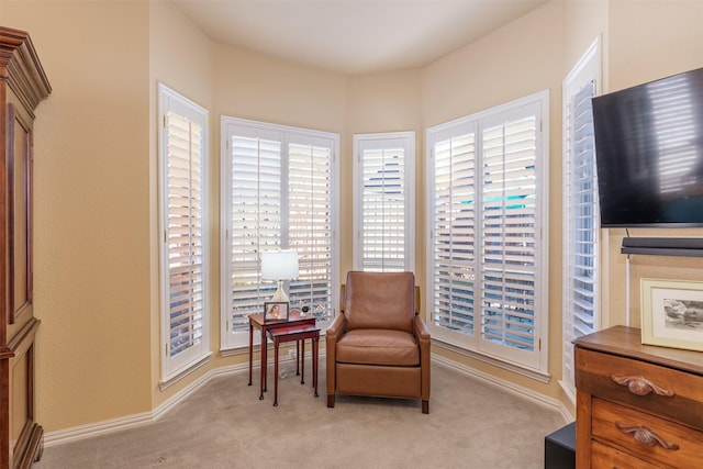 living area with light carpet and baseboards