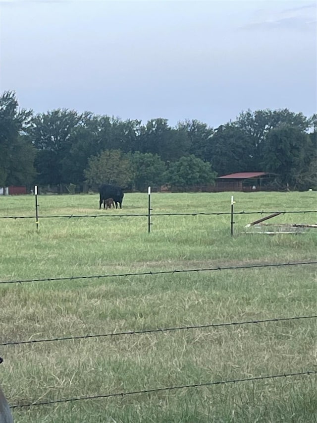 TBD Brown, Palo Pinto TX, 76484 land for sale