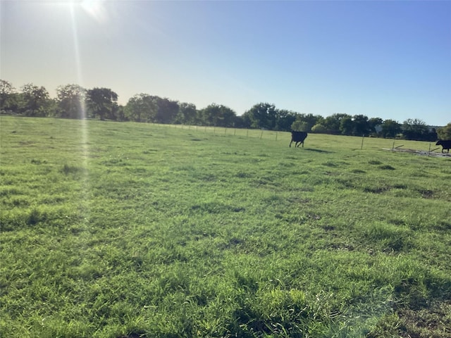 Listing photo 3 for TBD Brown, Palo Pinto TX 76484