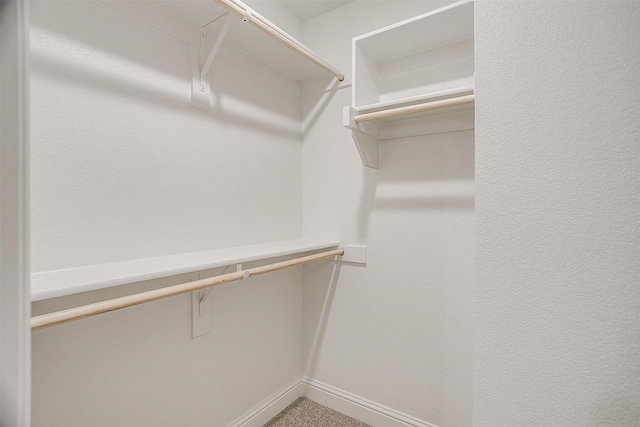 walk in closet with carpet